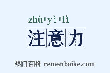 注意力是什么意思的图片